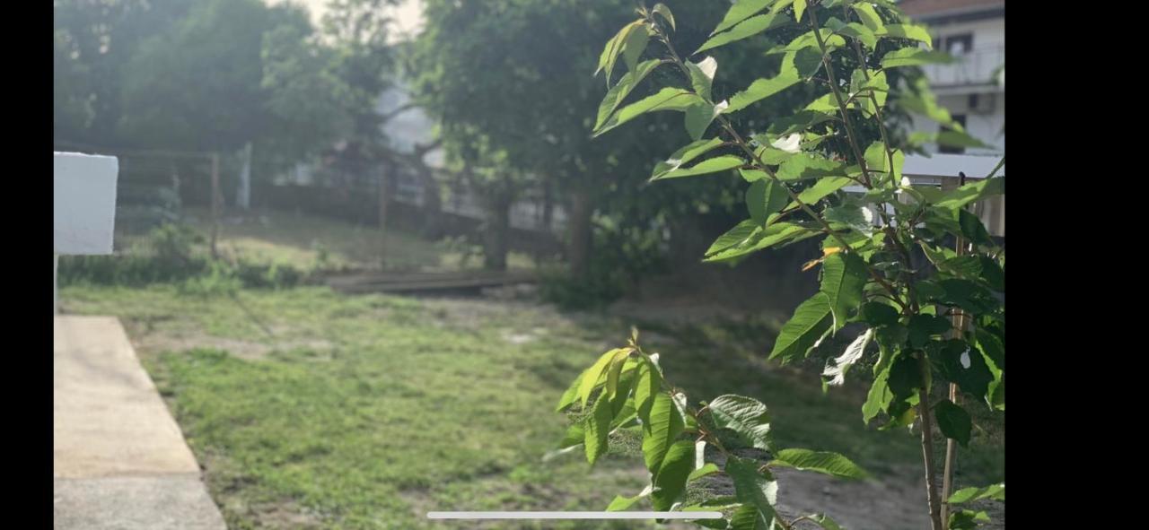 Apartments Dibra ウルツィニ エクステリア 写真